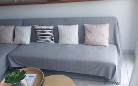 T2 Cosy, Lumineux Et Spacieux